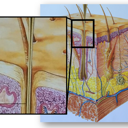 Proper needle size ensures more efficient heat distribution.